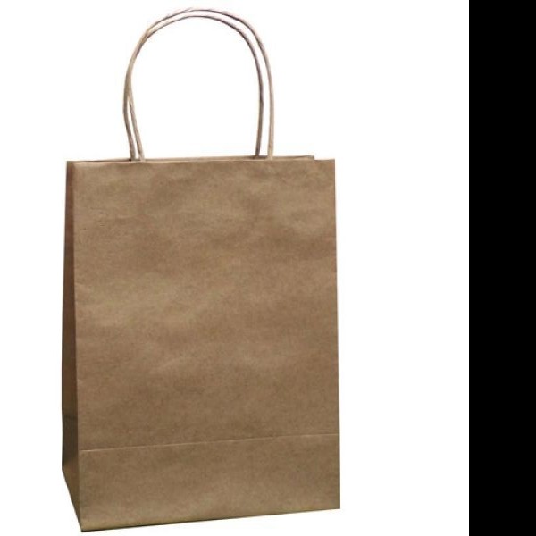 BOLSA BOUTIQUE KRAFT NAT 20X11.4X26.5 GOSTECH E10